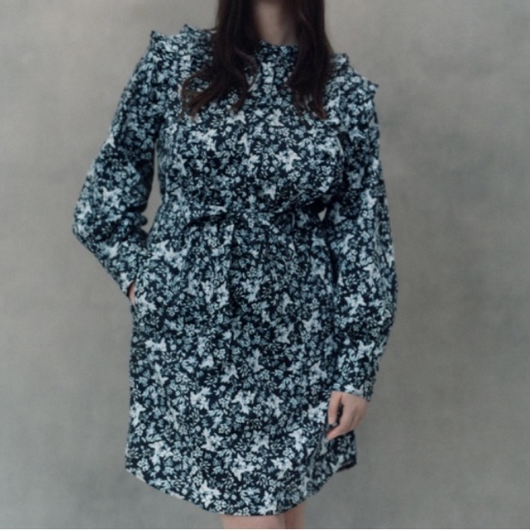 NWT ERDEM / UNIVERSAL STANDARD Primrose  Dress - Picture 1 of 10